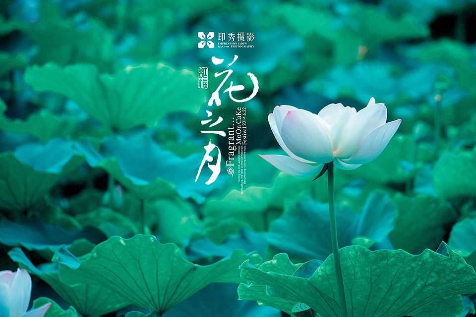 福州花之月汉服写真