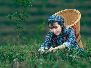 摄影艺术中的美学阐述