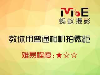 教你如何用普通相机拍摄微距