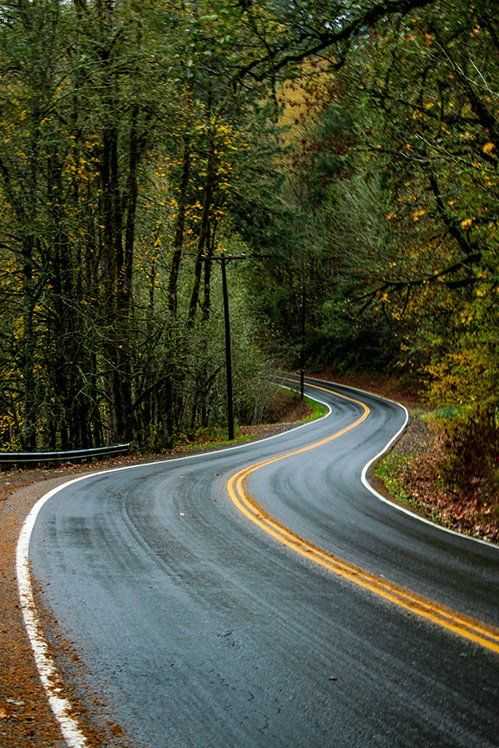 拍摄不同道路的构图技巧