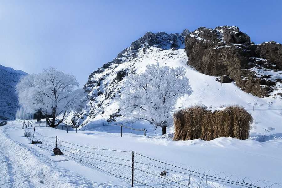 《天山雪》
